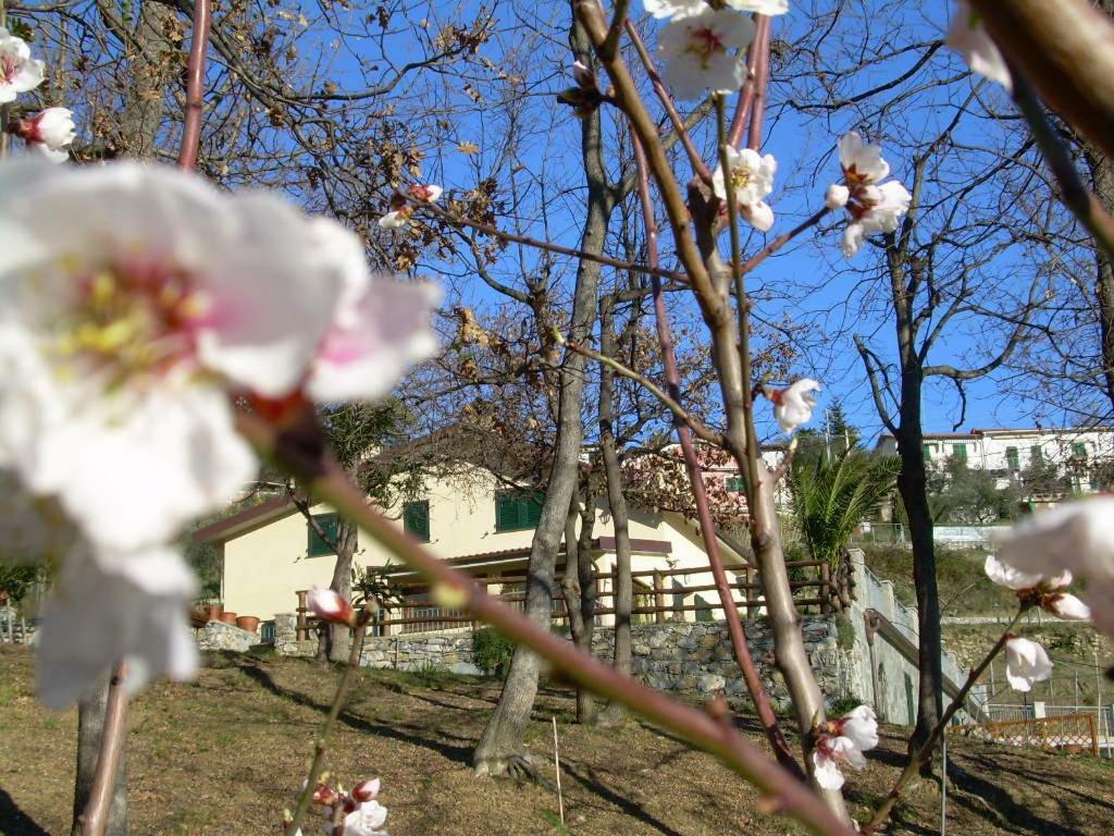 Apartamento Ariabuona Moneglia Exterior foto